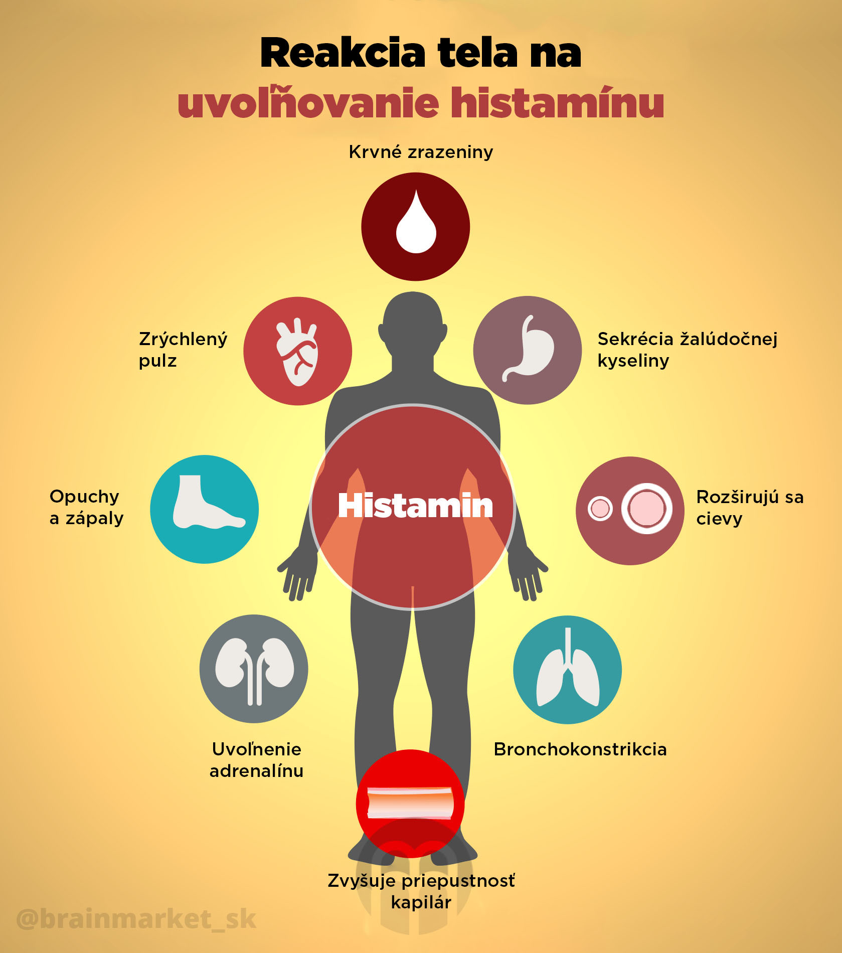 reakce-tela-na-uvolnovani-histaminu-instagram-infografika-branimarket-sk